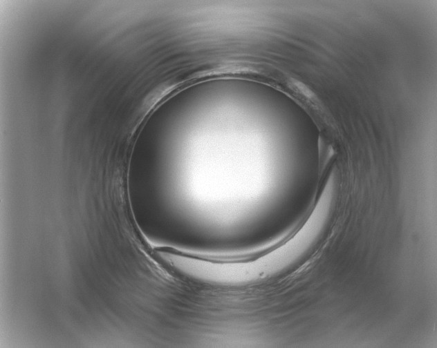 X0000065971177200603241905