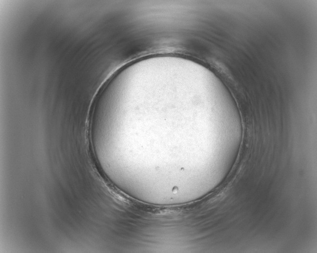 X0000065971178200603241905