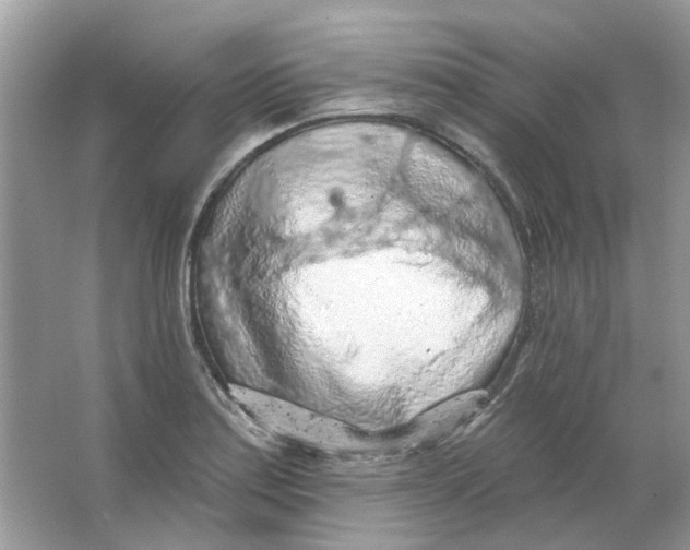 X0000065971179200603241905