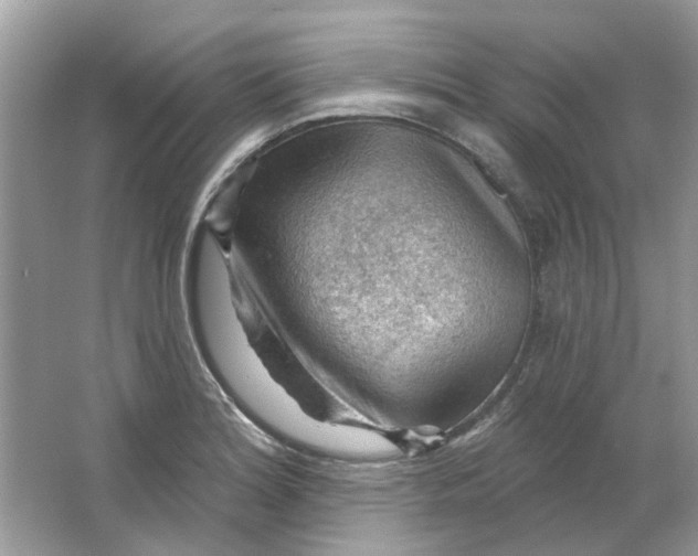 X0000065971180200603241905