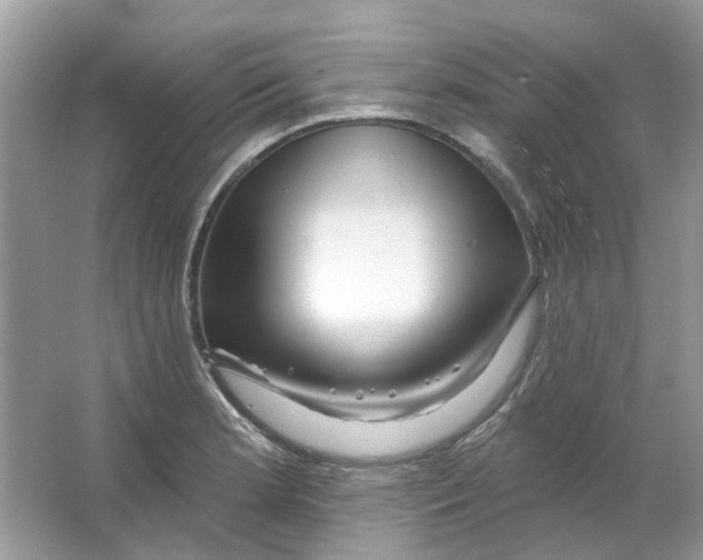 X0000065971181200603241905