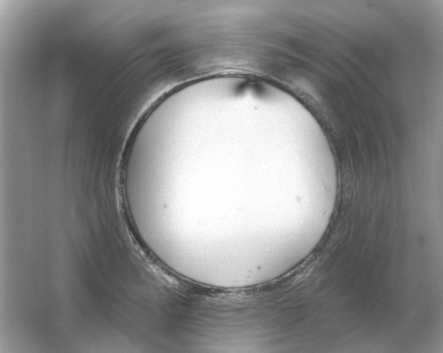 X0000065971182200603241905