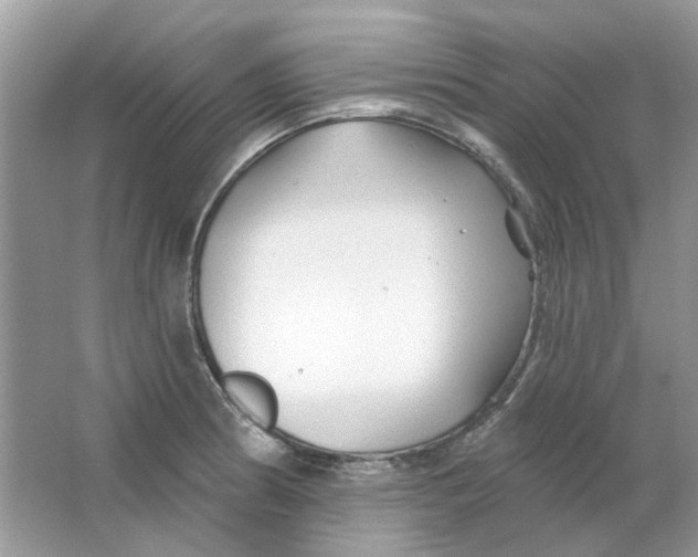 X0000065971186200603241905