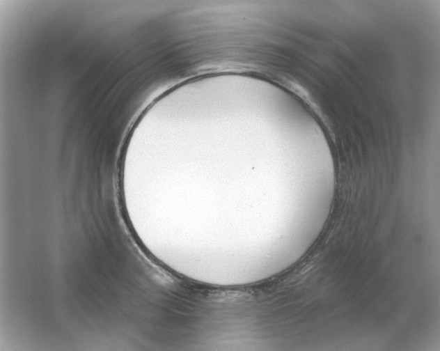 X0000065971187200603241905