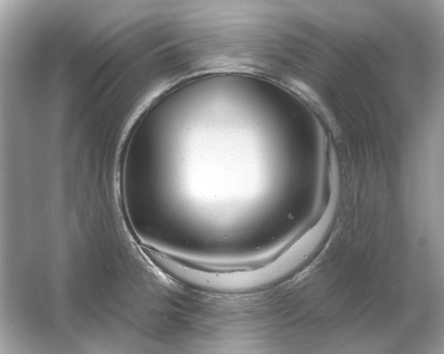 X0000065971188200603241905