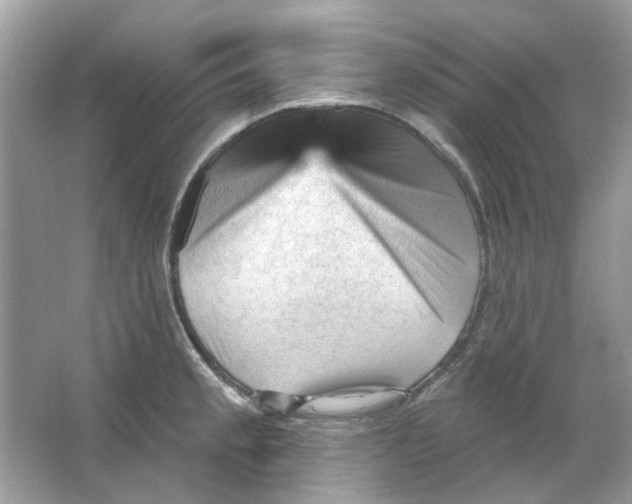 X0000065971189200603241905