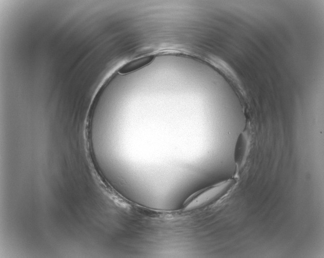 X0000065971190200603241905