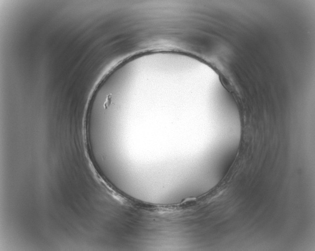 X0000065971191200603241905