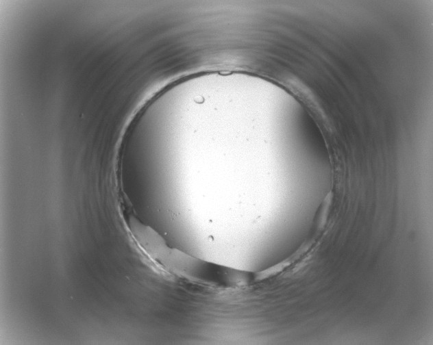 X0000065971192200603241905