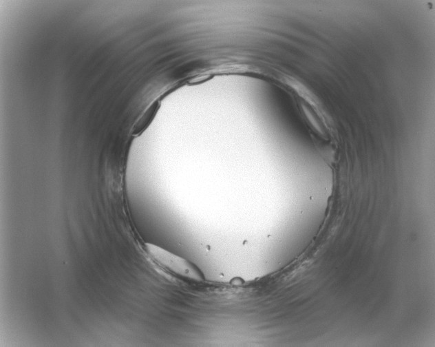 X0000065971193200603241905