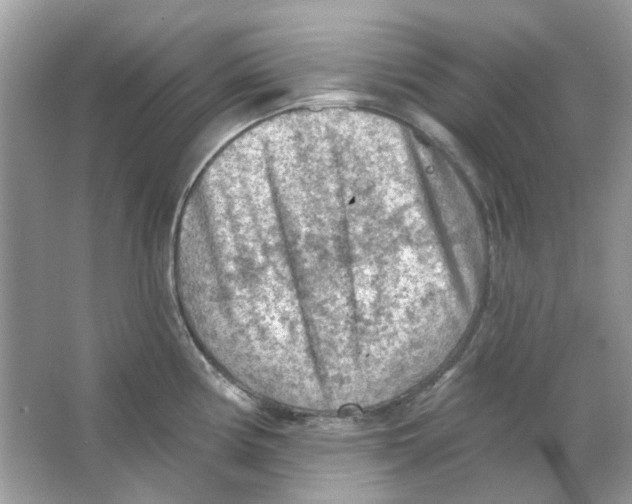 X0000065971194200603241905