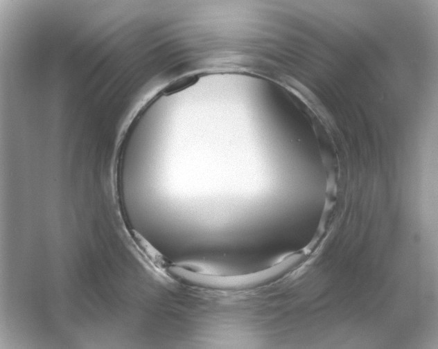 X0000065971196200603241905