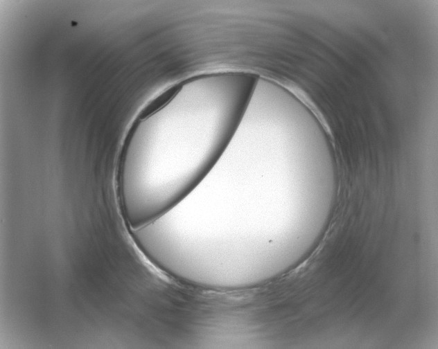 X0000065971197200603241905