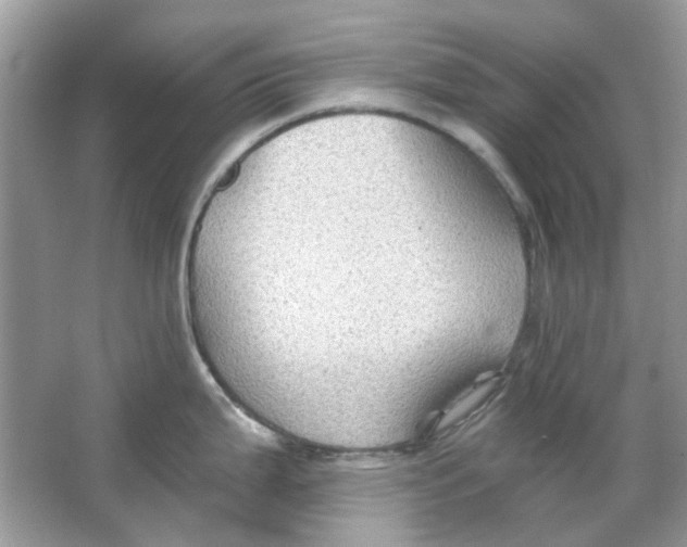 X0000065971199200603241905