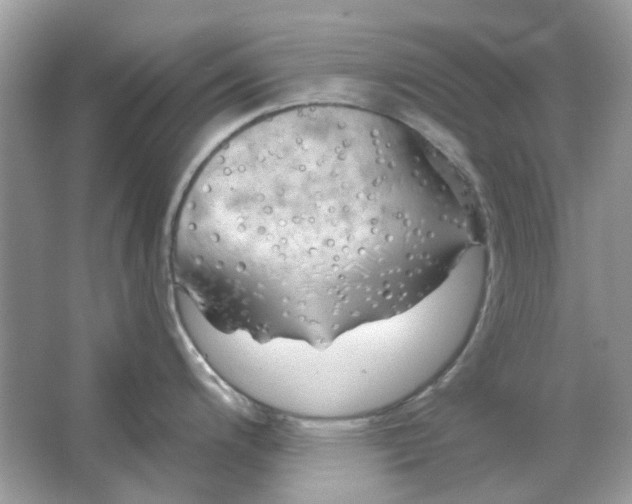 X0000065971200200603241905