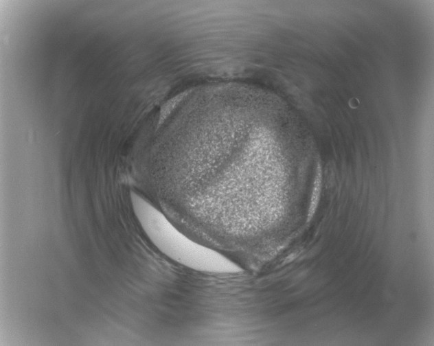 X0000065971202200603241904