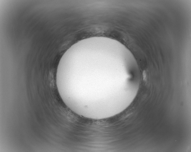 X0000065971203200603241904