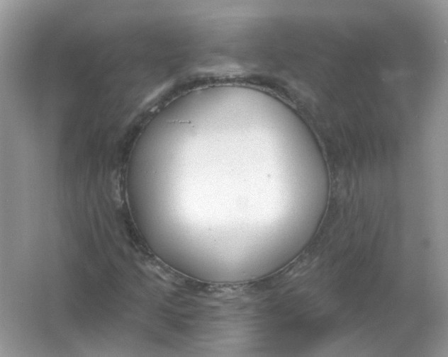 X0000065971205200603241904