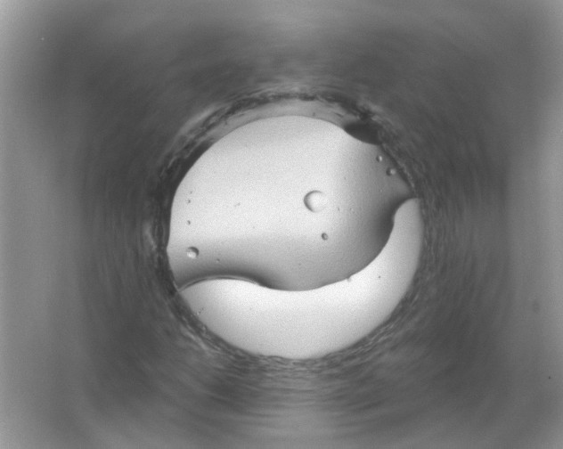 X0000065971206200603241904