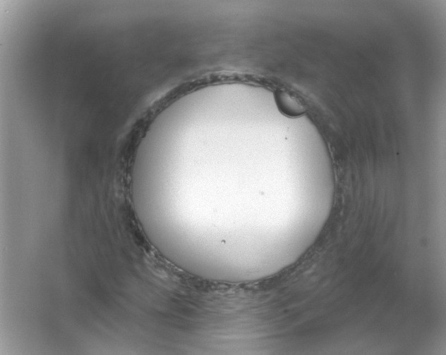 X0000065971207200603241904