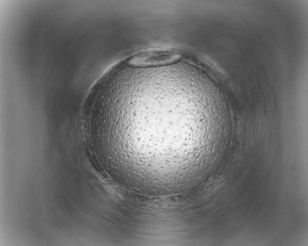 X0000065971208200603241904