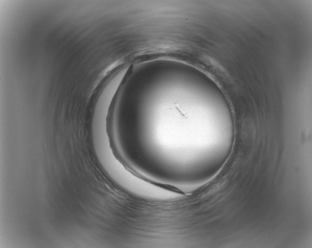 X0000065971210200603241904