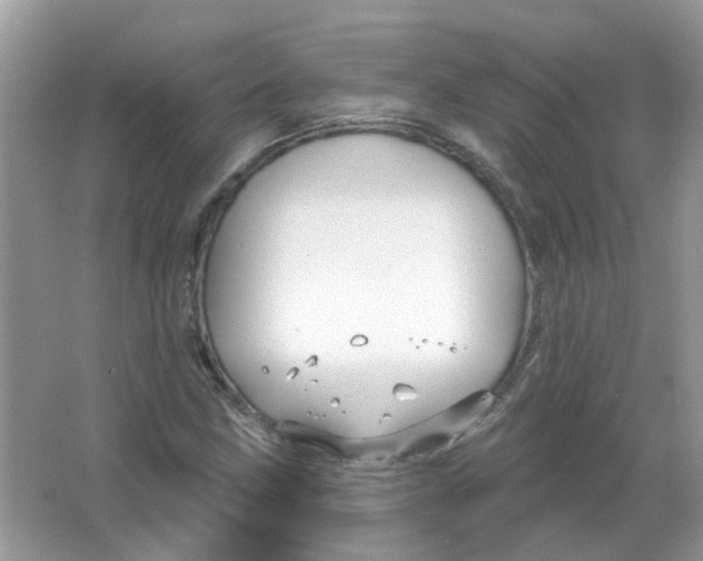 X0000065971211200603241904