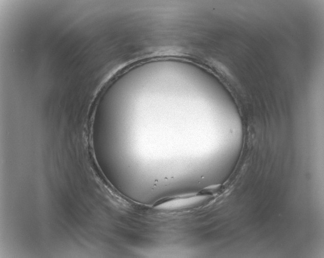 X0000065971212200603241904