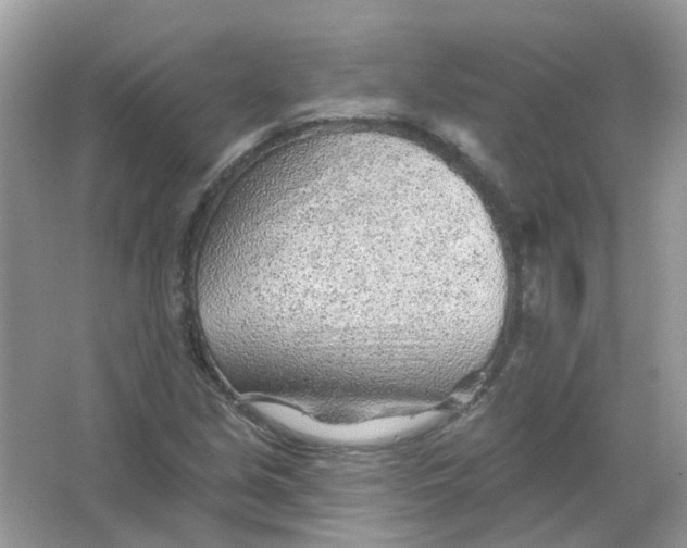 X0000065971213200603241904