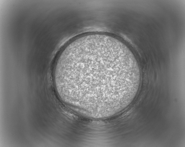 X0000065971215200603241904