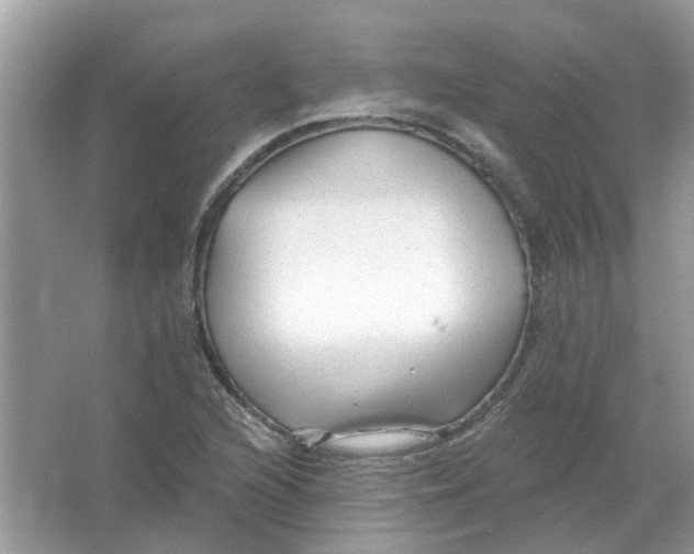 X0000065971216200603241904