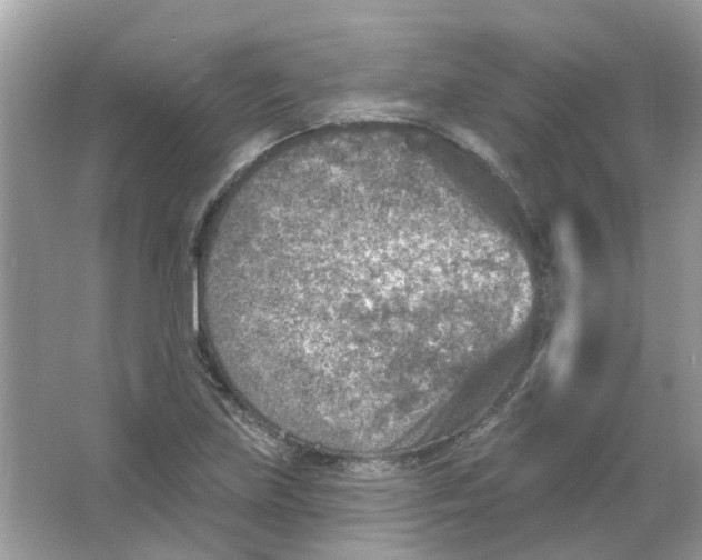 X0000065971219200603241904