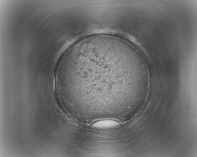 X0000065971221200603241904