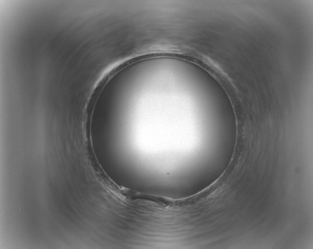 X0000065971222200603241904