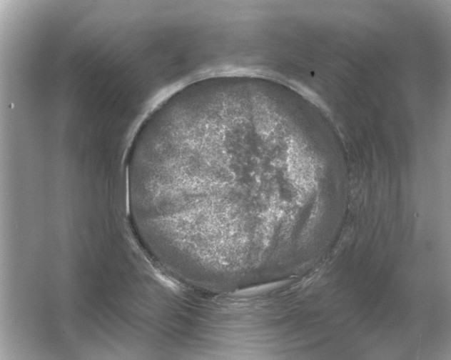 X0000065971223200603241904