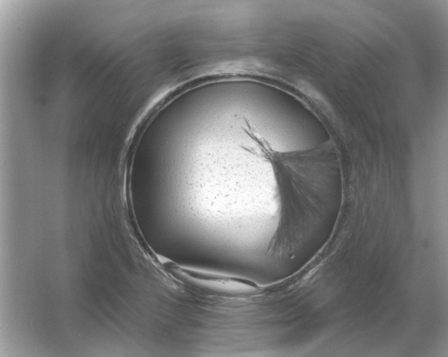 X0000065971224200603241904