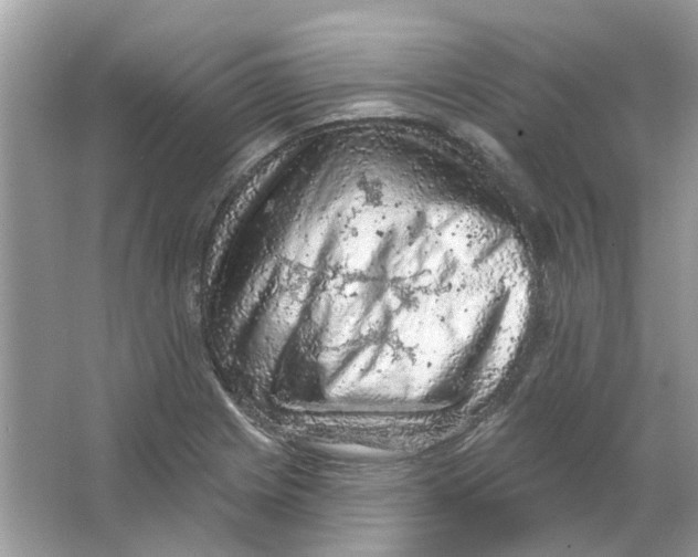 X0000065971225200603241904