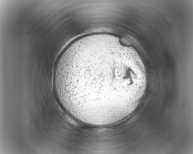 X0000065971228200603241904