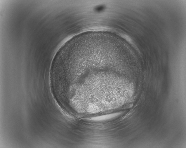 X0000065971229200603241905