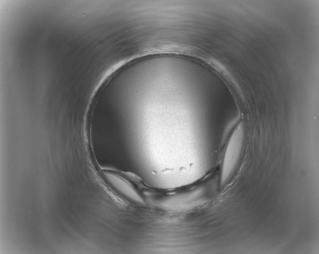 X0000065971230200603241905