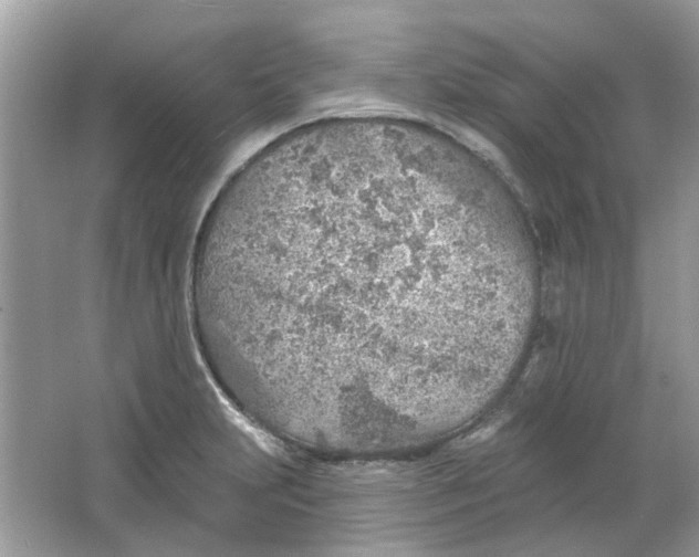 X0000065971231200603241905