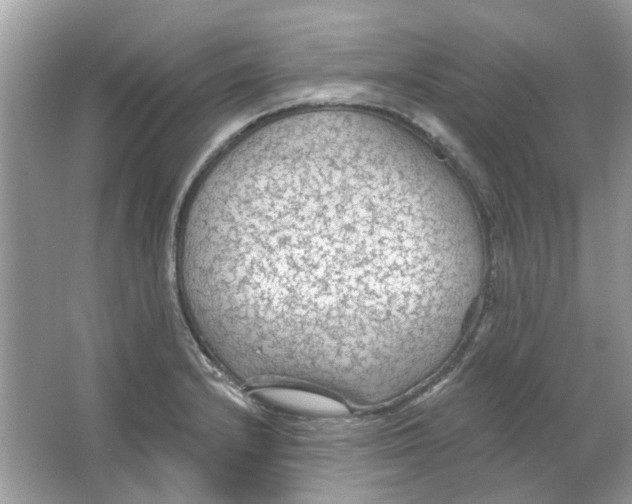 X0000065971232200603241905