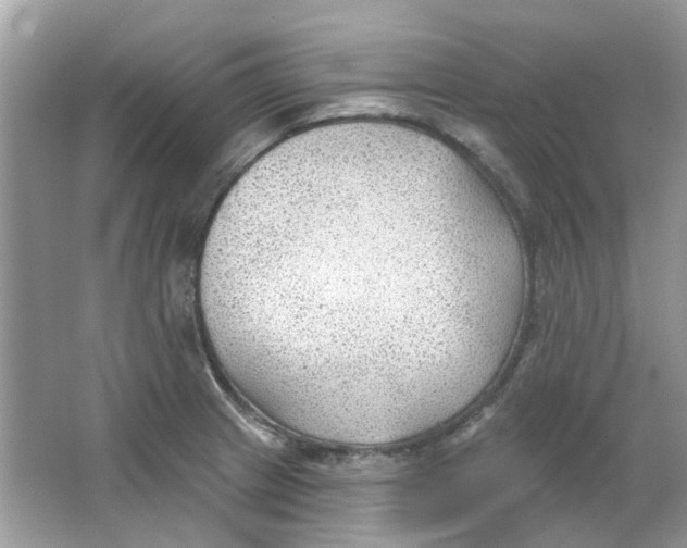 X0000065971233200603241905