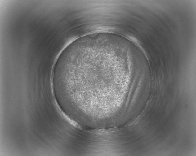 X0000065971235200603241905