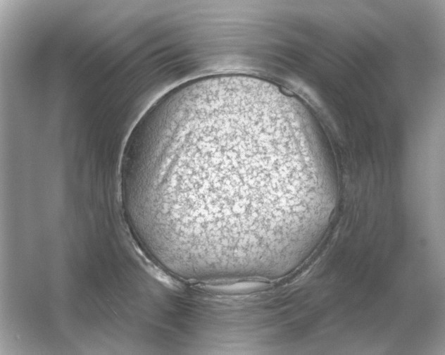 X0000065971236200603241905