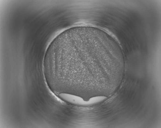 X0000065971239200603241905