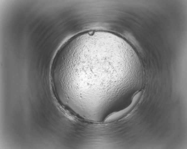 X0000065971240200603241905