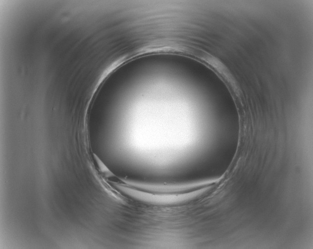 X0000065971242200603241905