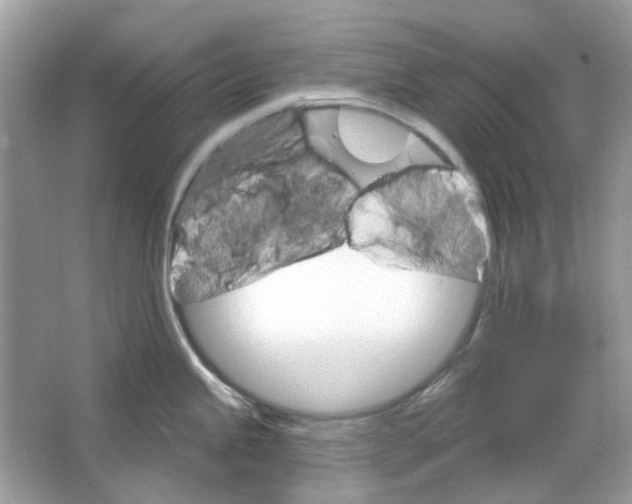 X0000065971245200603241905