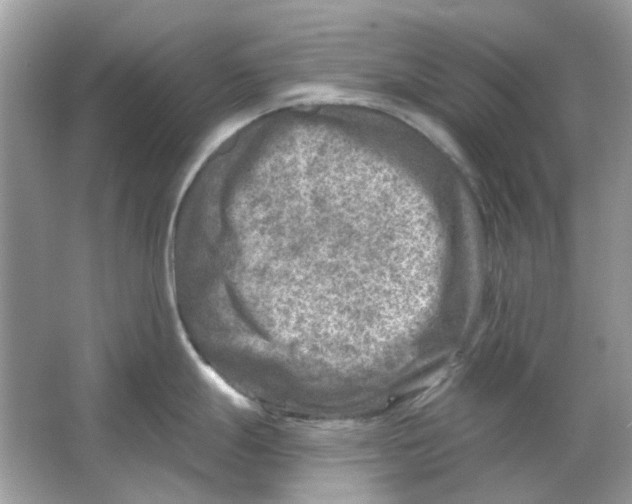 X0000065971247200603241905